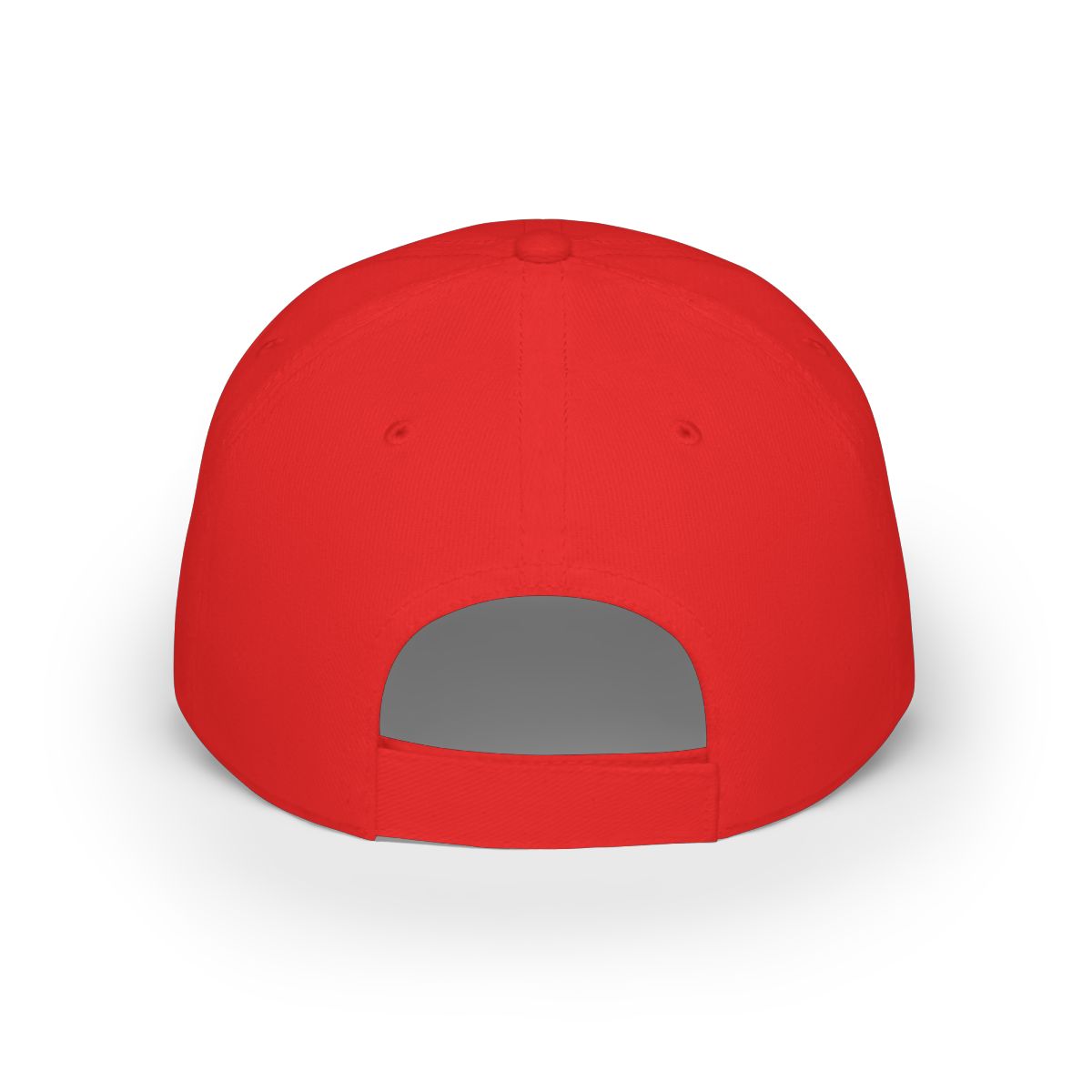 Diary of a CEO Baseball Cap - alternate angle 1, merchandise