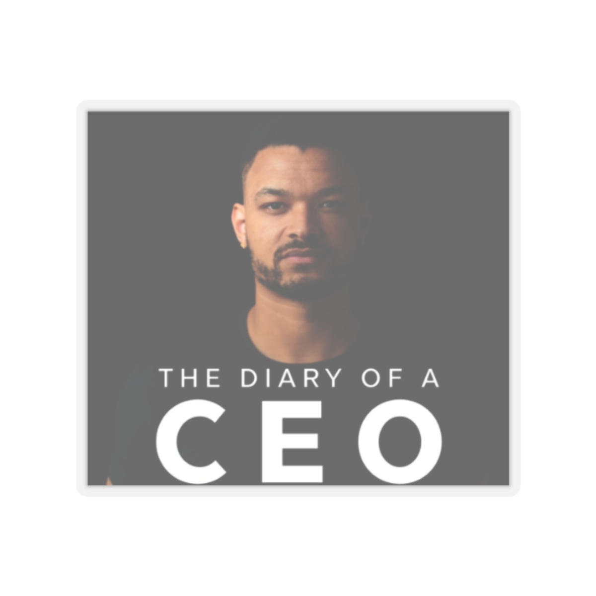 Diary of a CEO Sticker